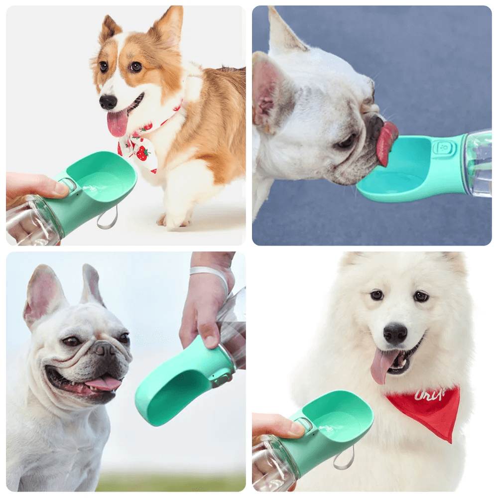 Garrafa de água Portátil para Cães