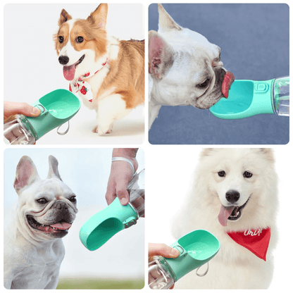 Garrafa de água Portátil para Cães